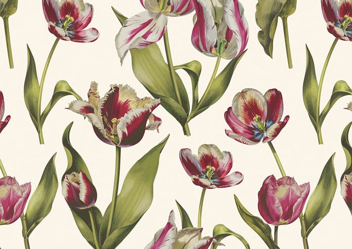 Carries, Cosmos - Roller Blind - Image 6